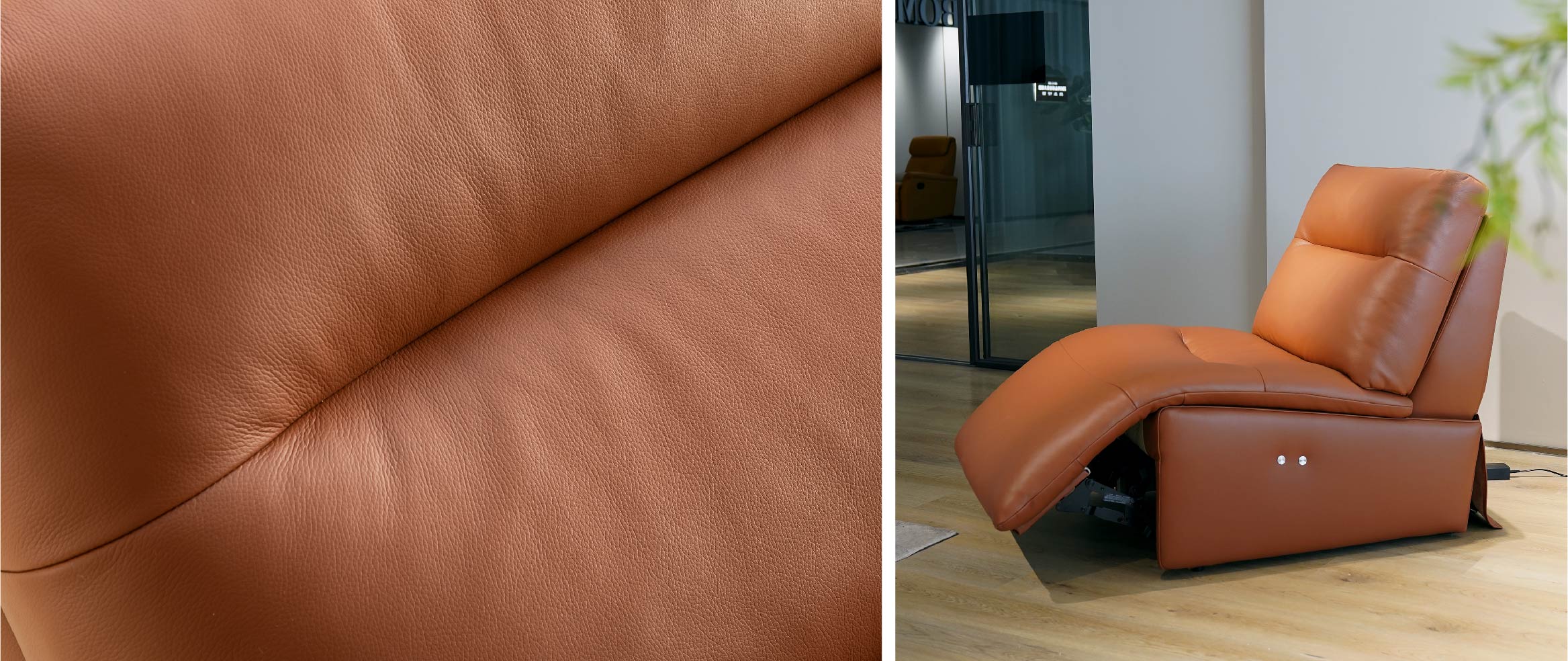 Cocoa -RGC2403-04.jpg